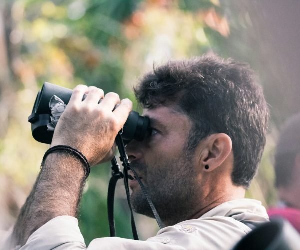 Bird Watching in Darjeeling