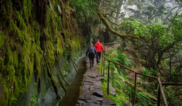 Couple Hiking