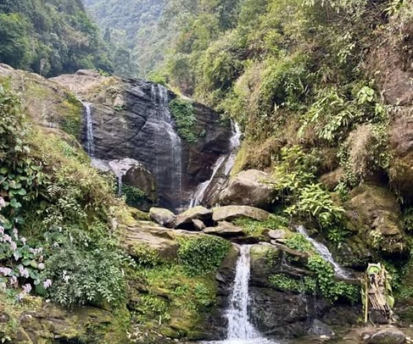 Rock Garden, Darjeeling