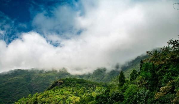 Way To Darjeeling